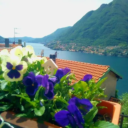 Over The Lake Ca Fede 別荘 Pognana Lario