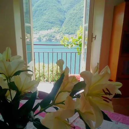 Over The Lake Ca Fede 別荘 Pognana Lario